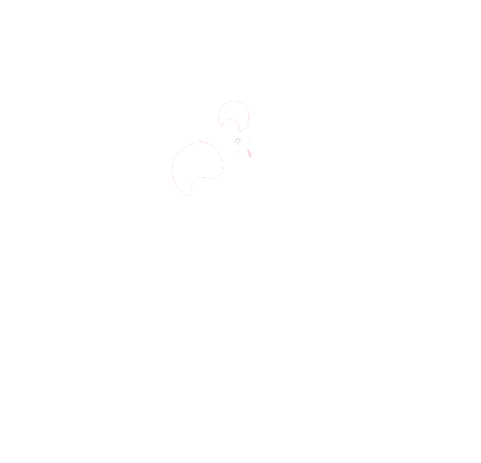 Nando’s Peri Peri
