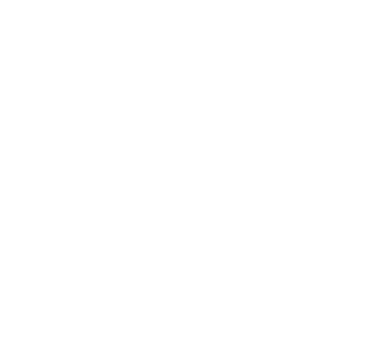Hi/Fi Tex Mex Barbecue