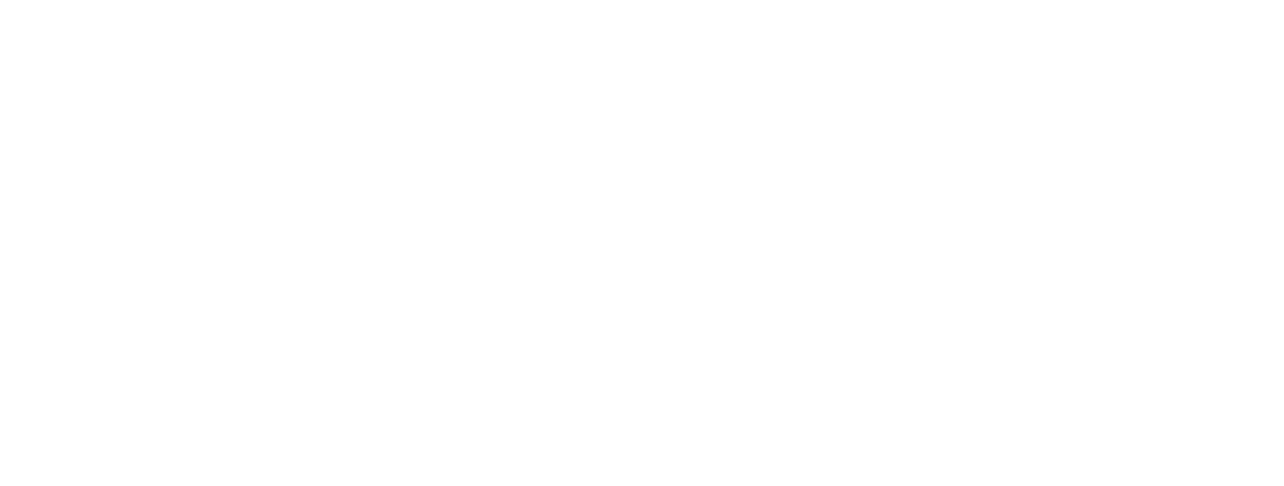 NAJA logo
